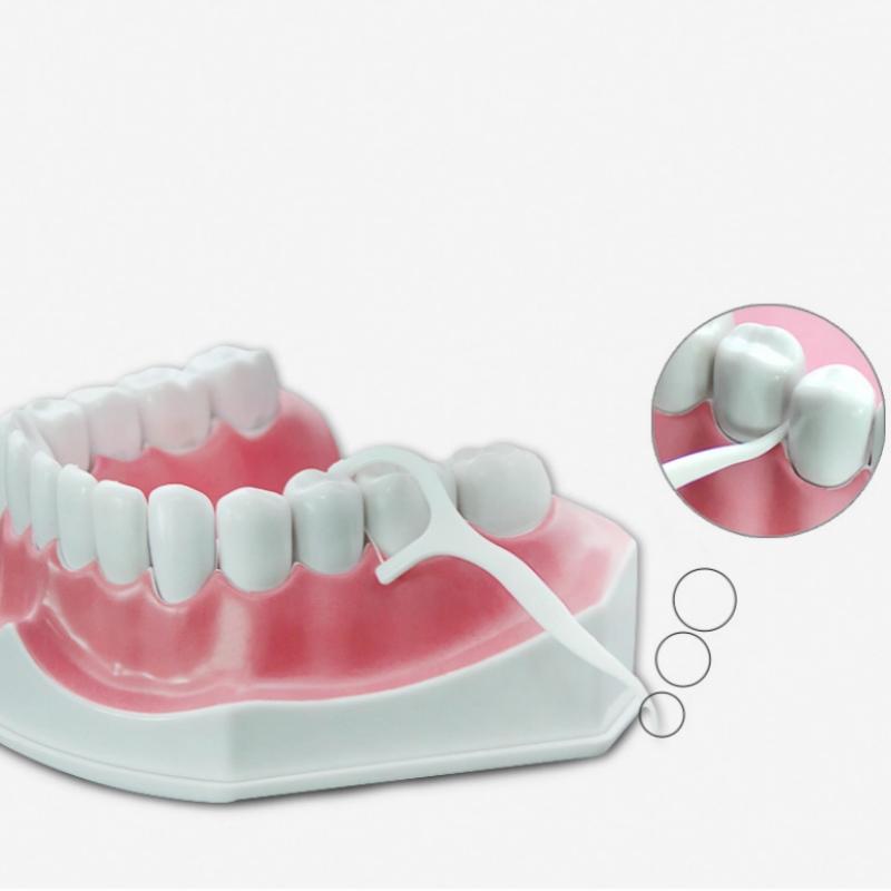 50 pz Filo Interdentale Flosse - Dental Floss Picks recensione e prezzo