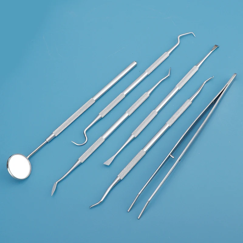 Strumento dentale Dispositivo  - Dental Floss Picks recensione e prezzo
