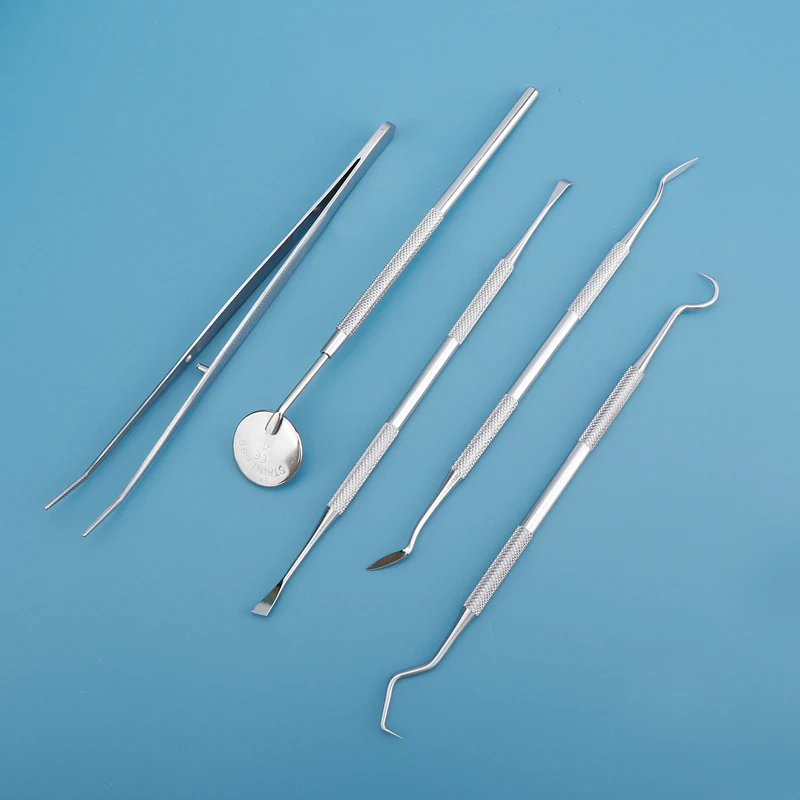 Strumento dentale Dispositivo  - Dental Floss Picks recensione e prezzo